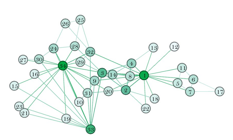 Social Networks